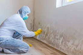 Best Black Mold Removal  in Alpine, TX