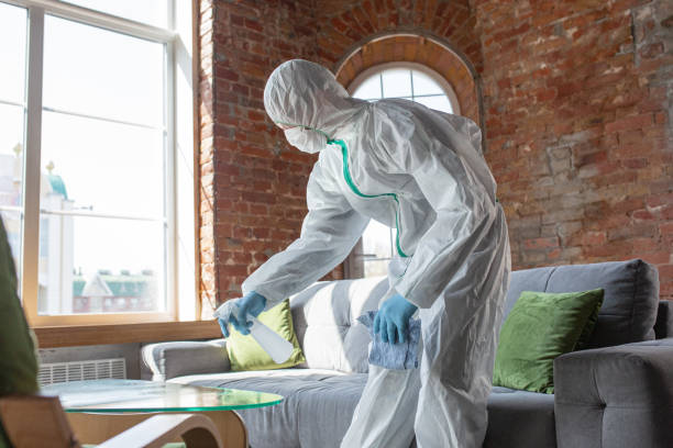 Best Biohazard Mold Removal  in Alpine, TX